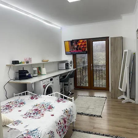 Studio Nr 5 Suceava Exterior photo